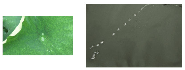世界杯下单平台网站官网医用纺织