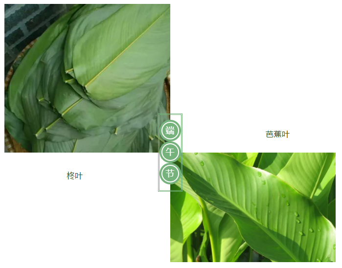 世界杯下单平台网站官网医纺