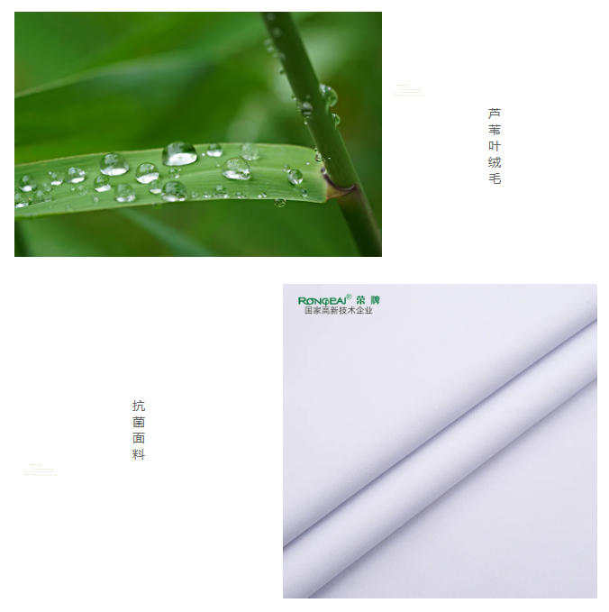 世界杯下单平台网站官网医纺