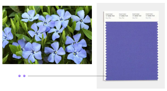 世界杯下单平台网站官网纺织面料