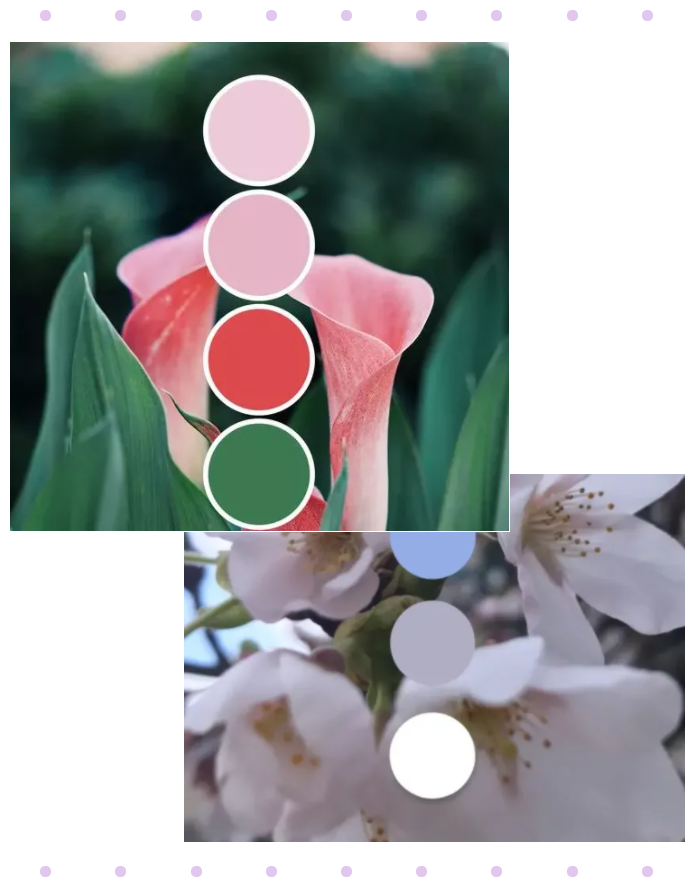 世界杯下单平台网站官网纺织面料