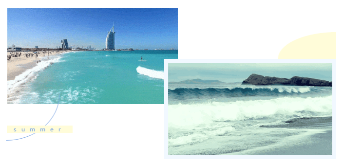 世界杯下单平台网站官网医纺