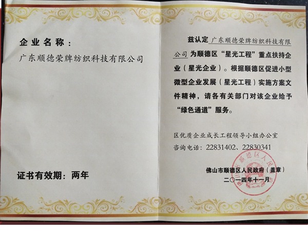 世界杯下单平台网站官网荣获政府重点扶持企业